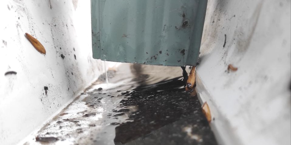 Eavestrough cleaning services